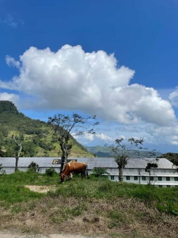 Kandy: Sir James Taylors Loolkandura Tea Heritage Hike - Who Will Love This Tour?