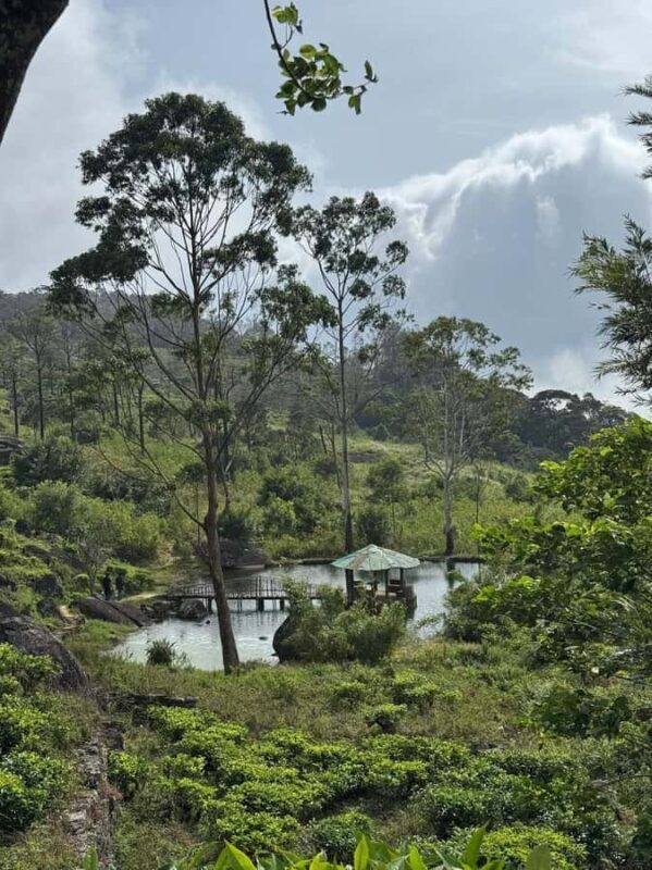 Kandy: Sir James Taylors Loolkandura Tea Heritage Hike - Frequently Asked Questions