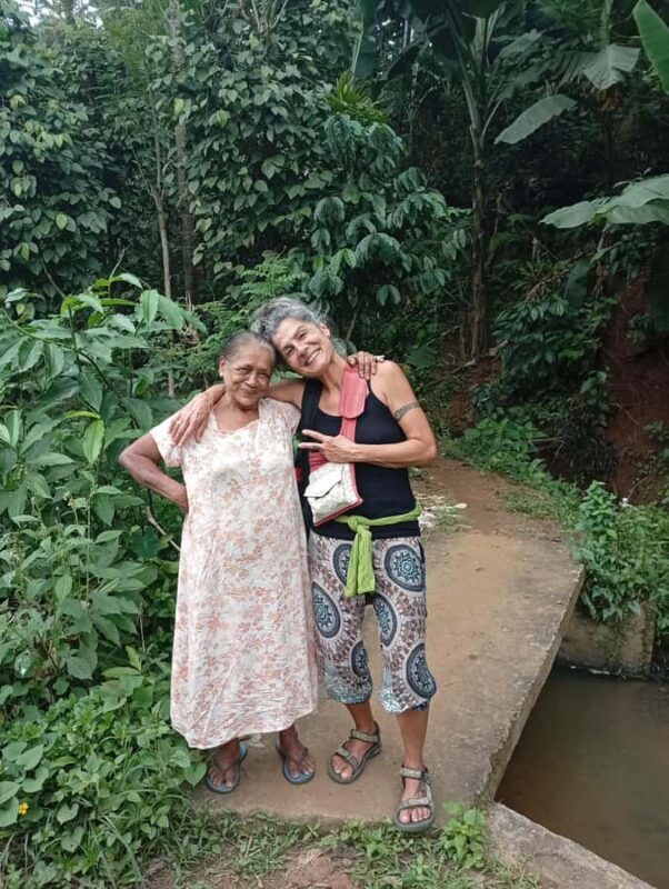 Kandy: Tea estate Factory & Waterfalls, Ambuluwawa tour - Who Will Love This Tour?