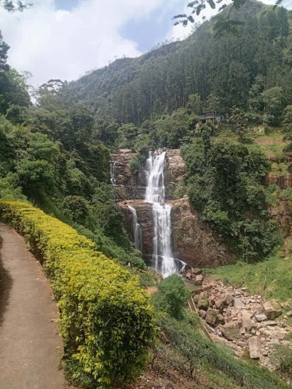 Kandy: Tea estate Factory & Waterfalls, Ambuluwawa tour - Final Thoughts