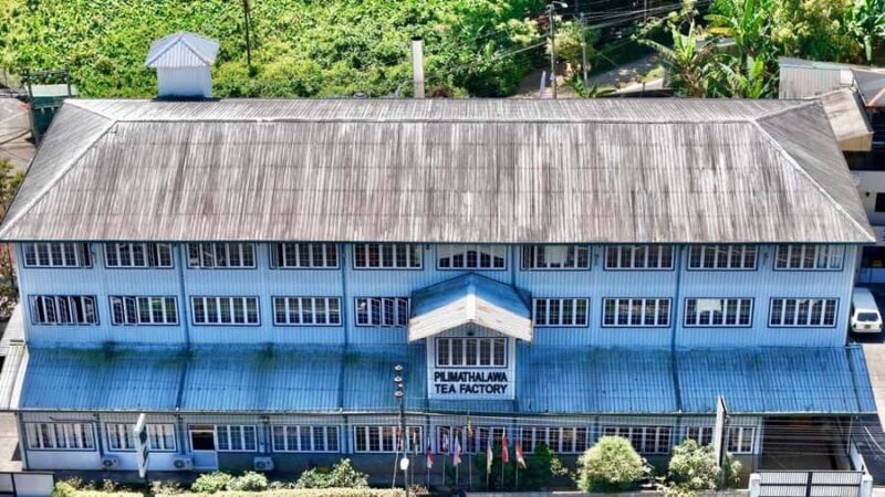 Kandy Tea Tasting at Pilimathalawa with Pickup & Drop - A Closer Look at the Tour Itinerary