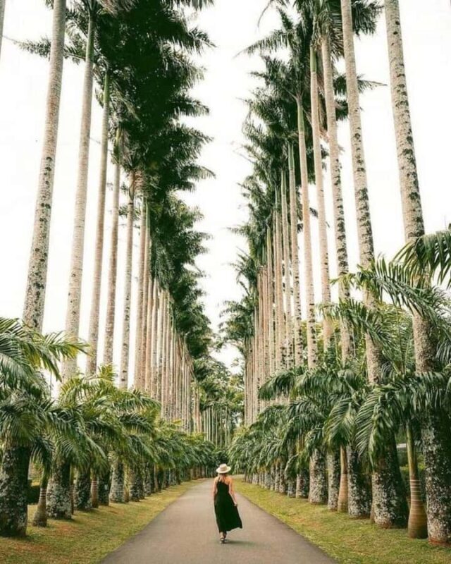 Kandy: Temple of Tooth, Train Ride, & Cave Waterfall Tour - Key Points