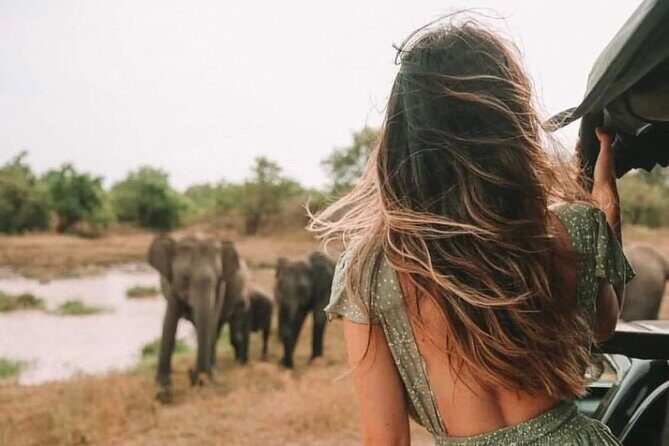 Kandy to Anuradhapura Shuttle & Safari Drive - A Closer Look at the Experience