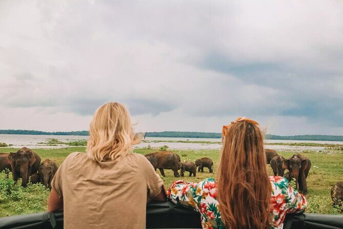 Kandy to Anuradhapura Shuttle & Safari Drive - FAQs