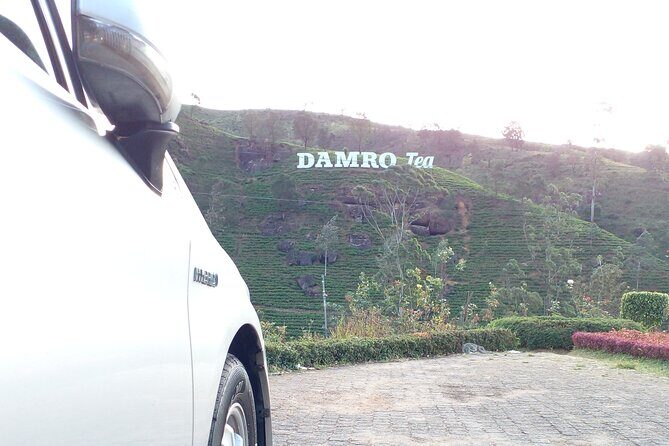 Kandy to Ella Scenic Road Trip and Train Ride Tour - Who Will Love This Tour?