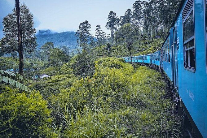Kandy to Ella Train Tickets. - An In-Depth Review of the Kandy to Ella Train Ticket Experience
