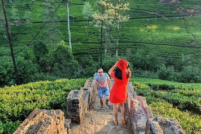 Kandy to Nanu Oya Shuttle & Nuwara Eliya Sightseeing Tour - An In-Depth Look at the Tour Itinerary