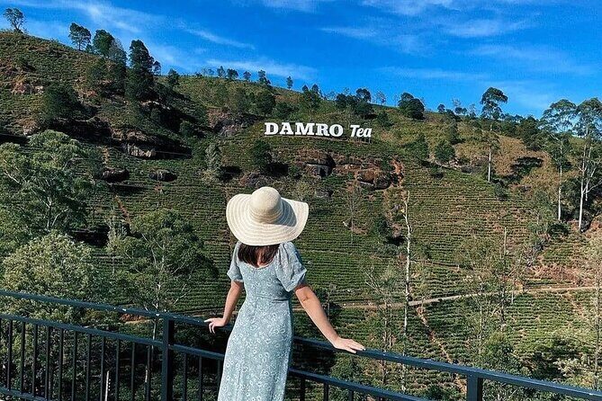 Kandy to Nanu Oya Shuttle & Nuwara Eliya Sightseeing Tour - FAQ