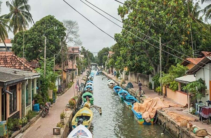 Kandy to Negombo: Sigiriya & Dambulla Day Trip - The Sum Up