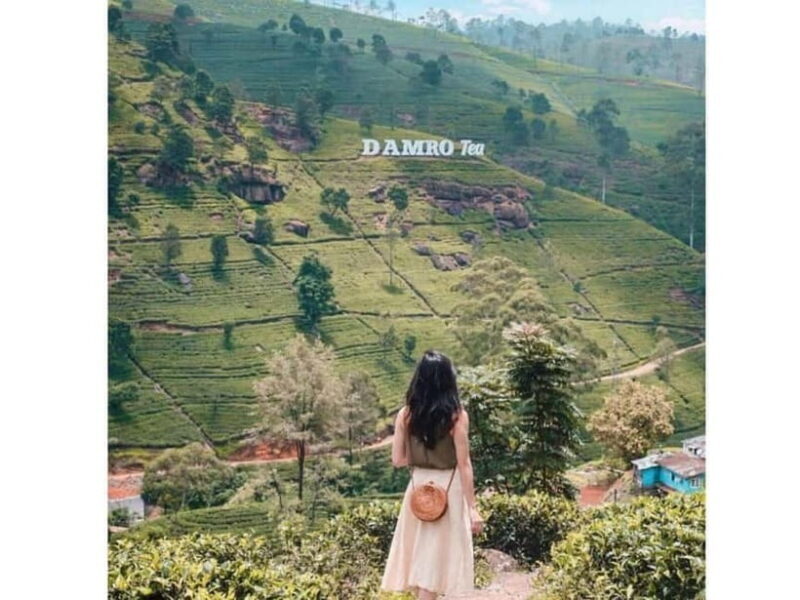 Kandy to Nuwara Eliya Day Tour - Key Points