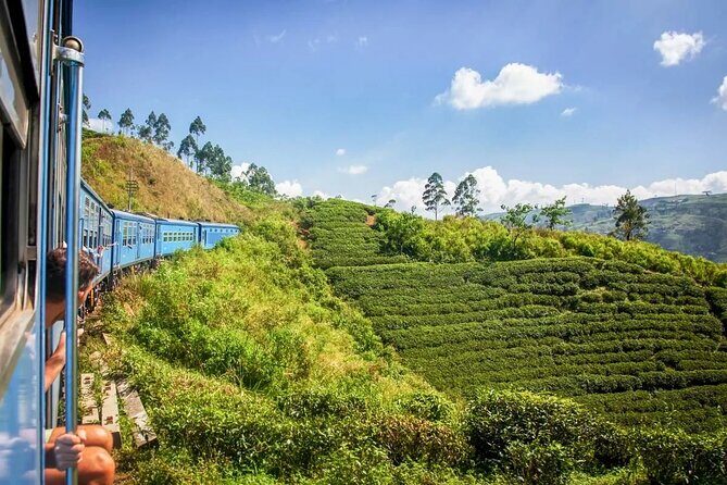 Kandy to Nuwara Eliya Day Tour - Why This Tour Makes Sense for Different Travelers
