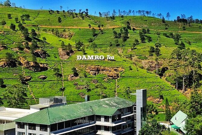 Kandy to Nuwara Eliya Day Tour - Frequently Asked Questions