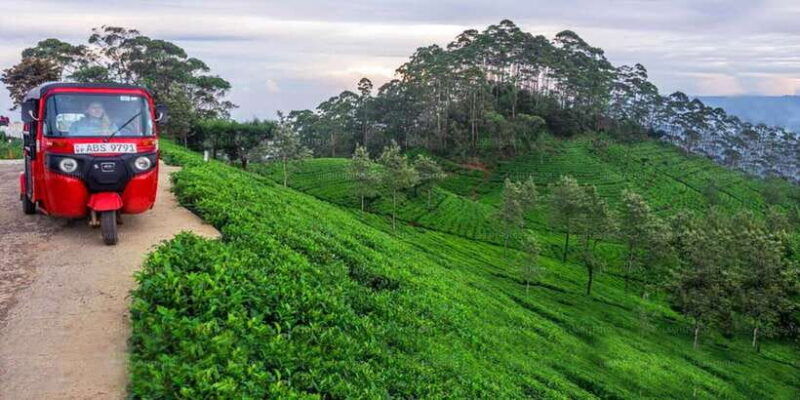 kandy-to-nuwara-eliya-day-tour-by-tuk-tuk-sri-lanka