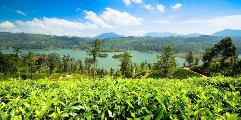 kandy-to-nuwara-eliya-day-tour-by-tuk-tuk-sri-lanka