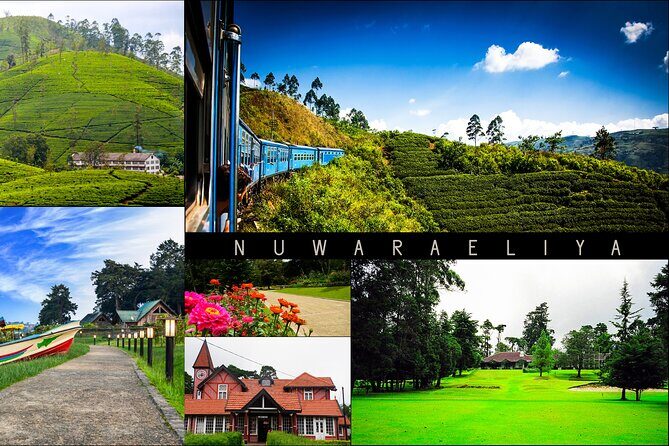 Kandy to Nuwara Eliya Day Trip  Little England & Tea Country - Key Points