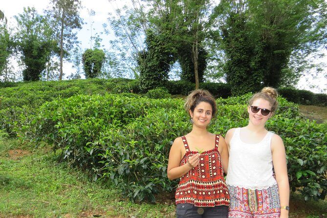 Kandy to Nuwara Eliya Day Trip  Little England & Tea Country - The Sum Up
