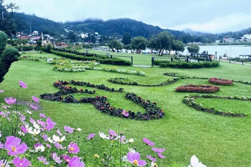 Kandy to Nuwara Eliya Guided Day Tour by Local - A Deep Dive into the Tour Experience