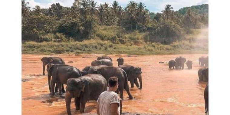 kandy-to-pinnawala-day-tour-by-local-tuk-tuk-expedition