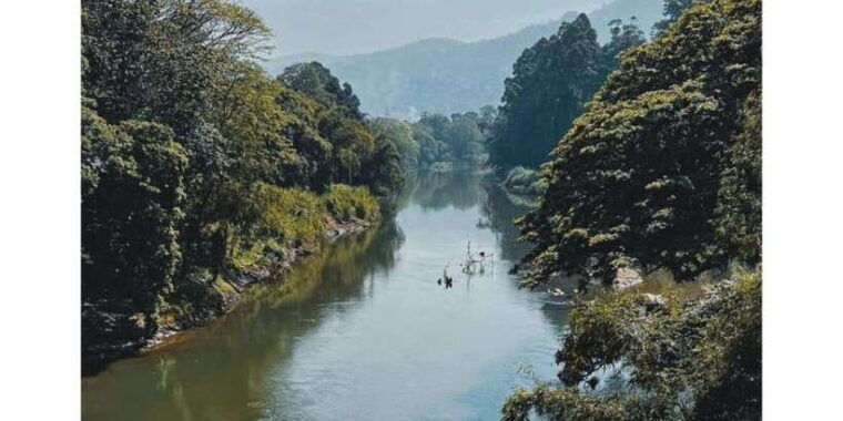 kandy-to-pinnawala-day-tour-by-local-tuk-tuk-expedition
