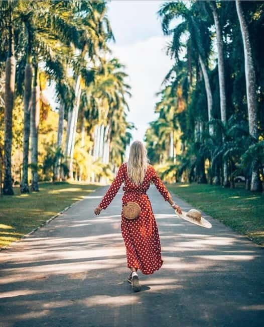 Kandy to Pinnawala Guided Day Tours by Local - Key Points