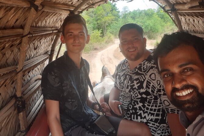 Kandy to Sigiriya and Dambulla Private Day Tour - Key Points