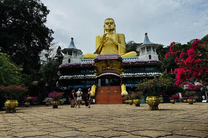 Kandy to Sigiriya Dambulla and Safari Private Day Tour - An In-depth Look at the Tour