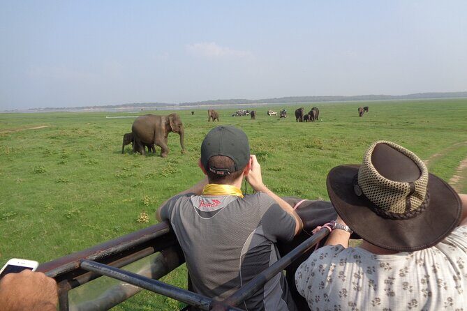 Kandy to Sigiriya Dambulla and Safari Private Day Tour - FAQ