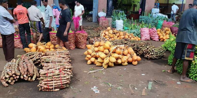 kandy-to-sigiriya-dambulla-day-trip