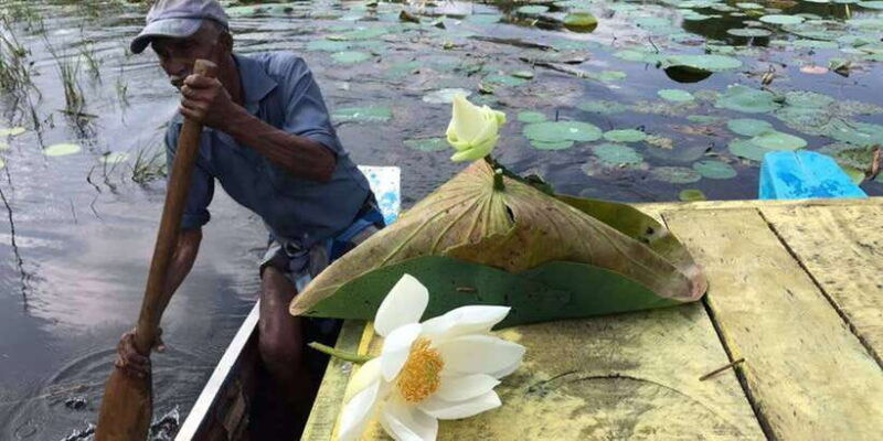 kandy-to-sigiriya-dambulla-day-trip