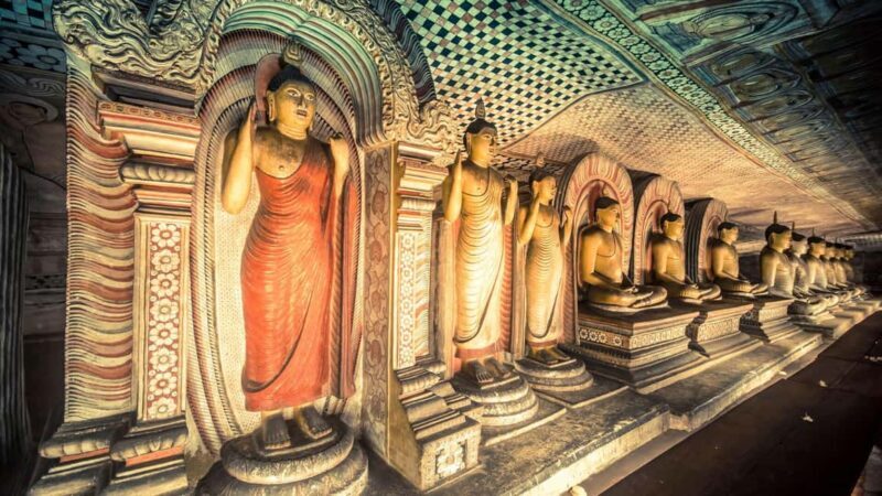 Kandy To Sigiriya Day Tour With Minneriya Safari - The Real Value of This Tour