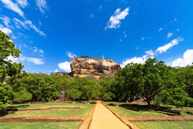Kandy To Sigiriya Day Tour With Minneriya Safari - Highlights That Make This Tour Stand Out