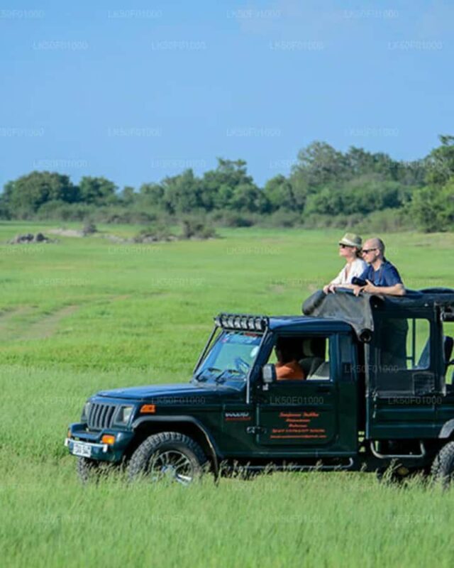 Kandy to Wilpattu Day Tour - Visiting Famous Places - Transportation and Practical Details