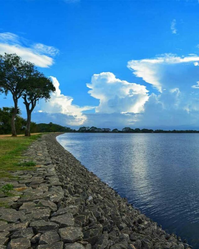 Kandy to Wilpattu Day Tour - Visiting Famous Places - The Sum Up