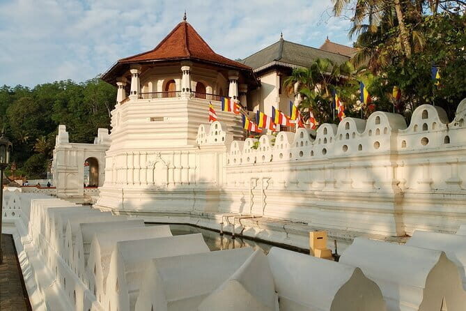 Kandy to Yala Transfer - Authentic Insights from Reviews