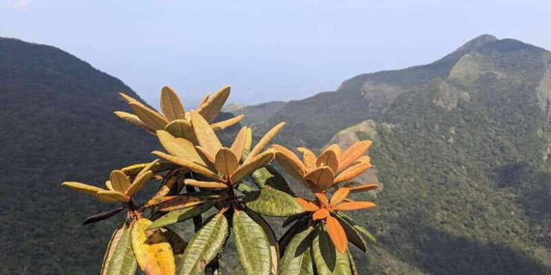 kandy-tour-with-local-guide-scootercity-around-local-areas