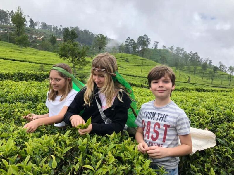 Kandy: Traditional Village Tour with Authentic Experience - Key Points