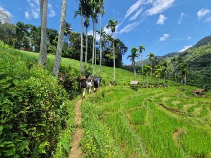 Kandy: Traditional Village Tour with Authentic Experience - Authentic Experiences You’ll Never Forget