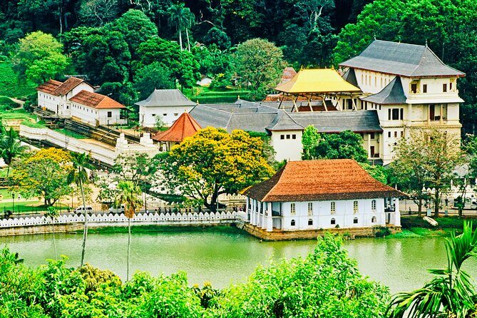 Kandy Transfer Visiting Dambulla Cave Temple and Herbal Garden - FAQ