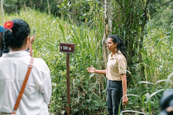 Kandy Yahalatenna Walking Coffee Class Activity - Exploring the Coffee Trail: What to Expect