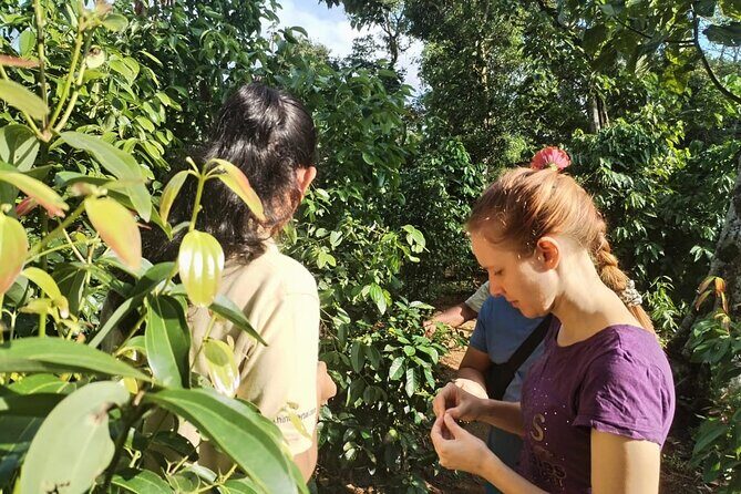 Kandy Yahalatenna Walking Coffee Class Activity - FAQ