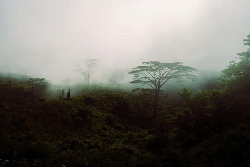 Kandy(Meemure): Knuckles Range Guided Small-Group Hike - Discovering the Knuckles Range: What to Expect
