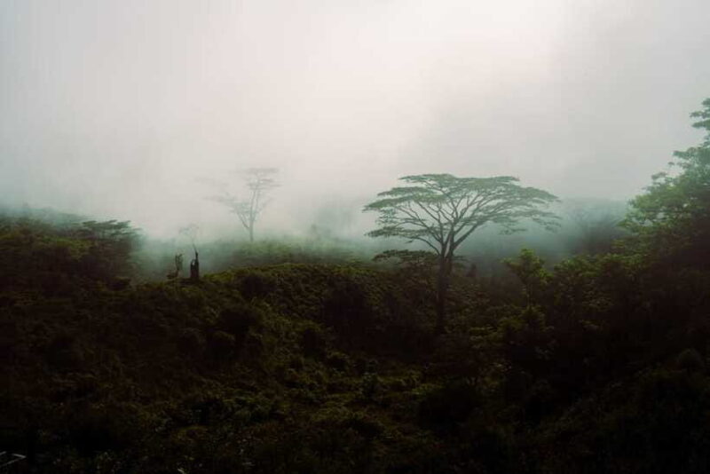 Kandy(Meemure): Knuckles Range Guided Small-Group Hike - FAQ