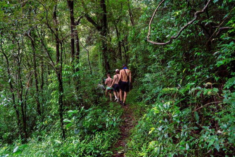 kandymeemure-knuckles-range-guided-small-group-hike