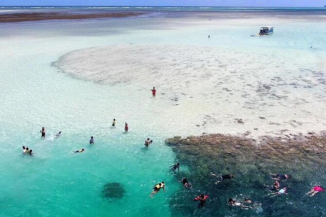 kaneohe-sandbar-snorkeling-tour-1st-tour