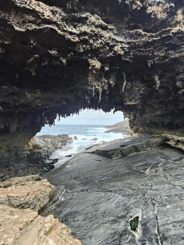 Kangaroo Island: 2 Day Private 4WD Tour with Private Guide - Price and Value