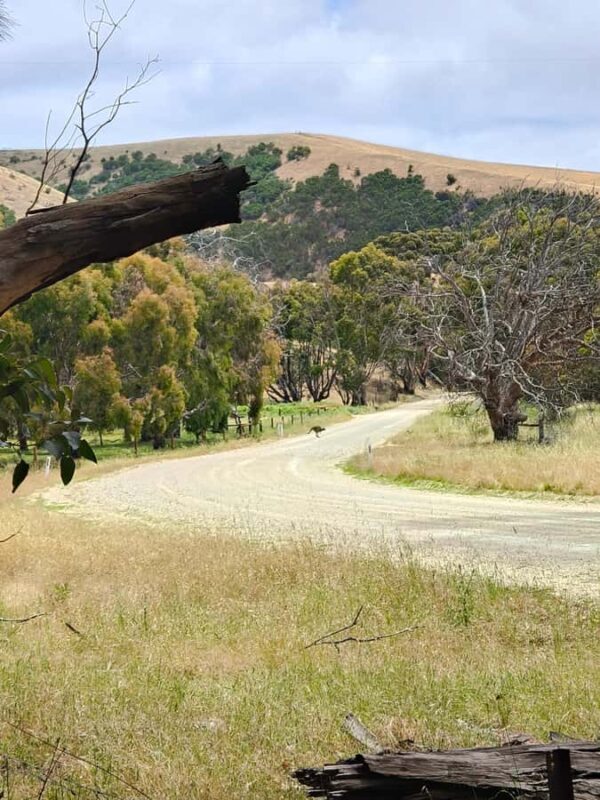 Kangaroo Island: 2 Day Private 4WD Tour with Private Guide - FAQ