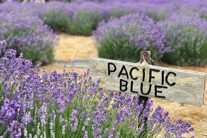 Kangaroo Island 3 Day All Inclusive Tour - What Makes This Tour Stand Out?