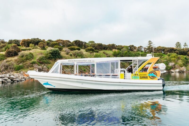 Kangaroo Island: 75-Minute Coastal Safari - An In-Depth Look at the Coastal Safari Experience