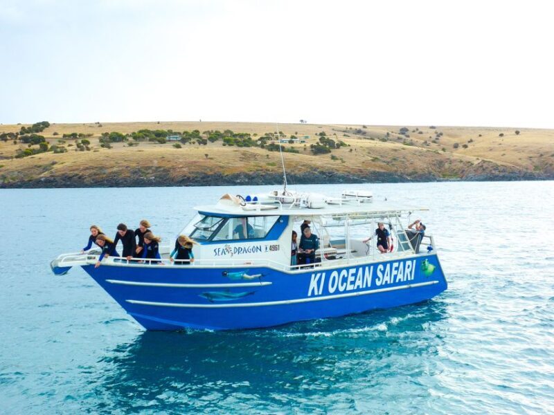 Kangaroo Island: Dolphin, Seal, and Swimming Boat Tour - An In-Depth Look at Kangaroo Island’s Wildlife Boat Tour