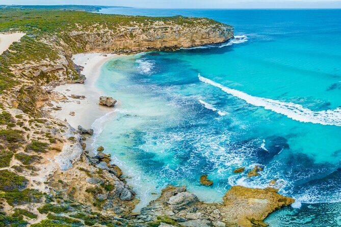Kangaroo Island Half-Day Tour - Who Should Consider This Tour?